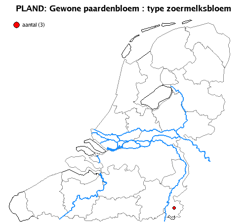 zoermelksbloem